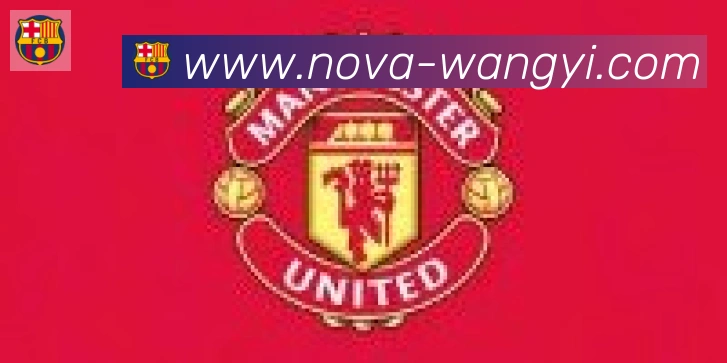 网易体育合作伙伴